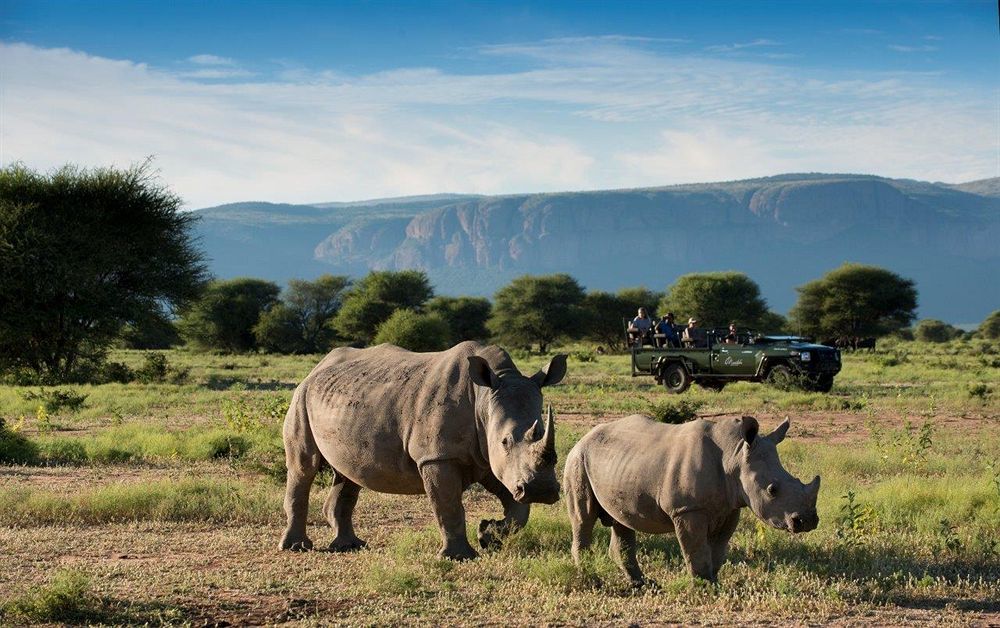 Marataba Safari Lodge Hartbeestfontein Экстерьер фото