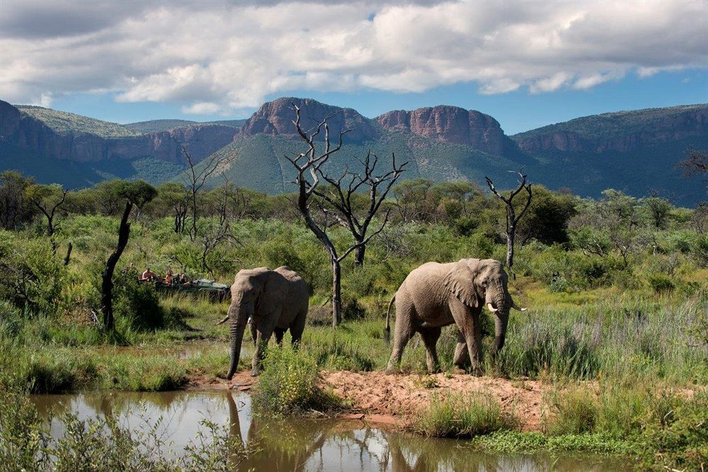 Marataba Safari Lodge Hartbeestfontein Экстерьер фото